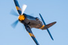 CurtisFowles-Reno2016-166166t.jpg