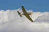 CurtisFowles-Reno2016-68619t.jpg