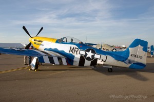 P-51 Mustang