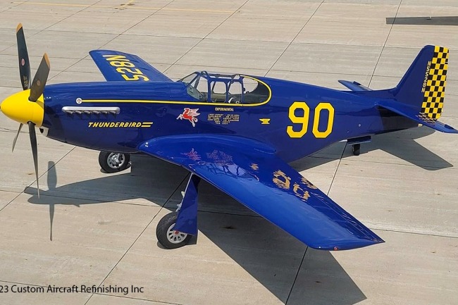 P-51 Survivor 43-6859 N5528N