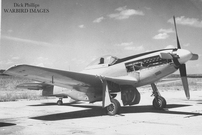 P-51 Survivor 44-72031 N6152U