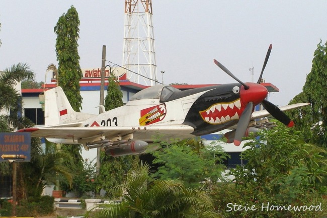 P-51 Survivor IAF303 
