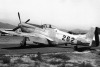 44-63559