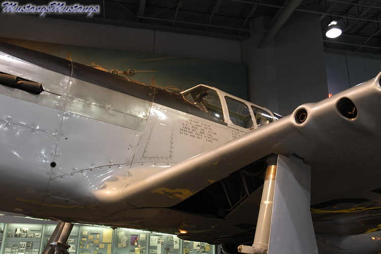 41-038_00017_cf1.jpg