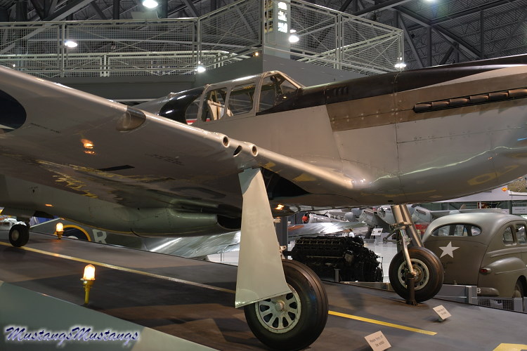 41-038_00026_cf1.jpg