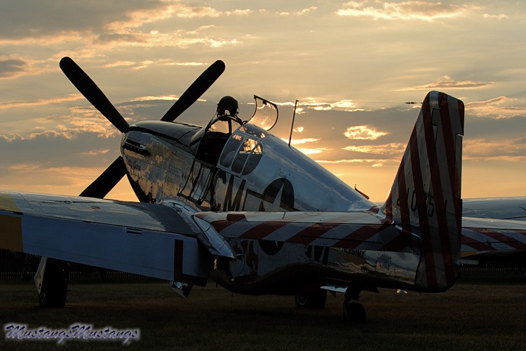 P-51