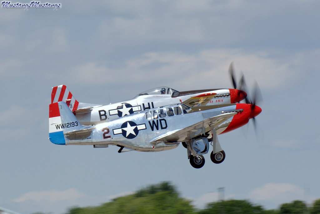 42-103293_00107_cf1.jpg