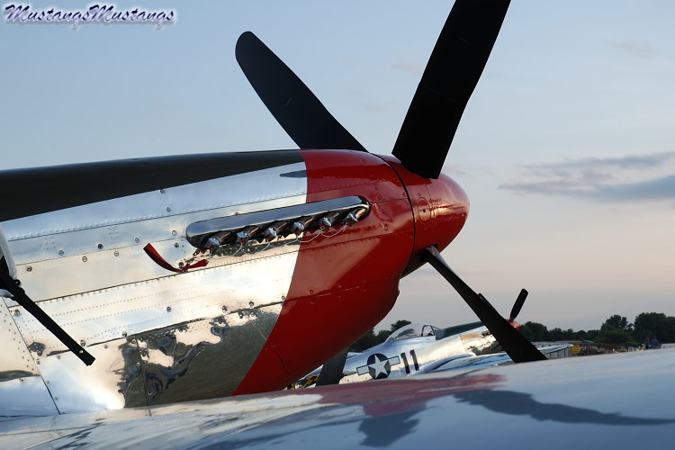 42-103293_06365_cf1.jpg