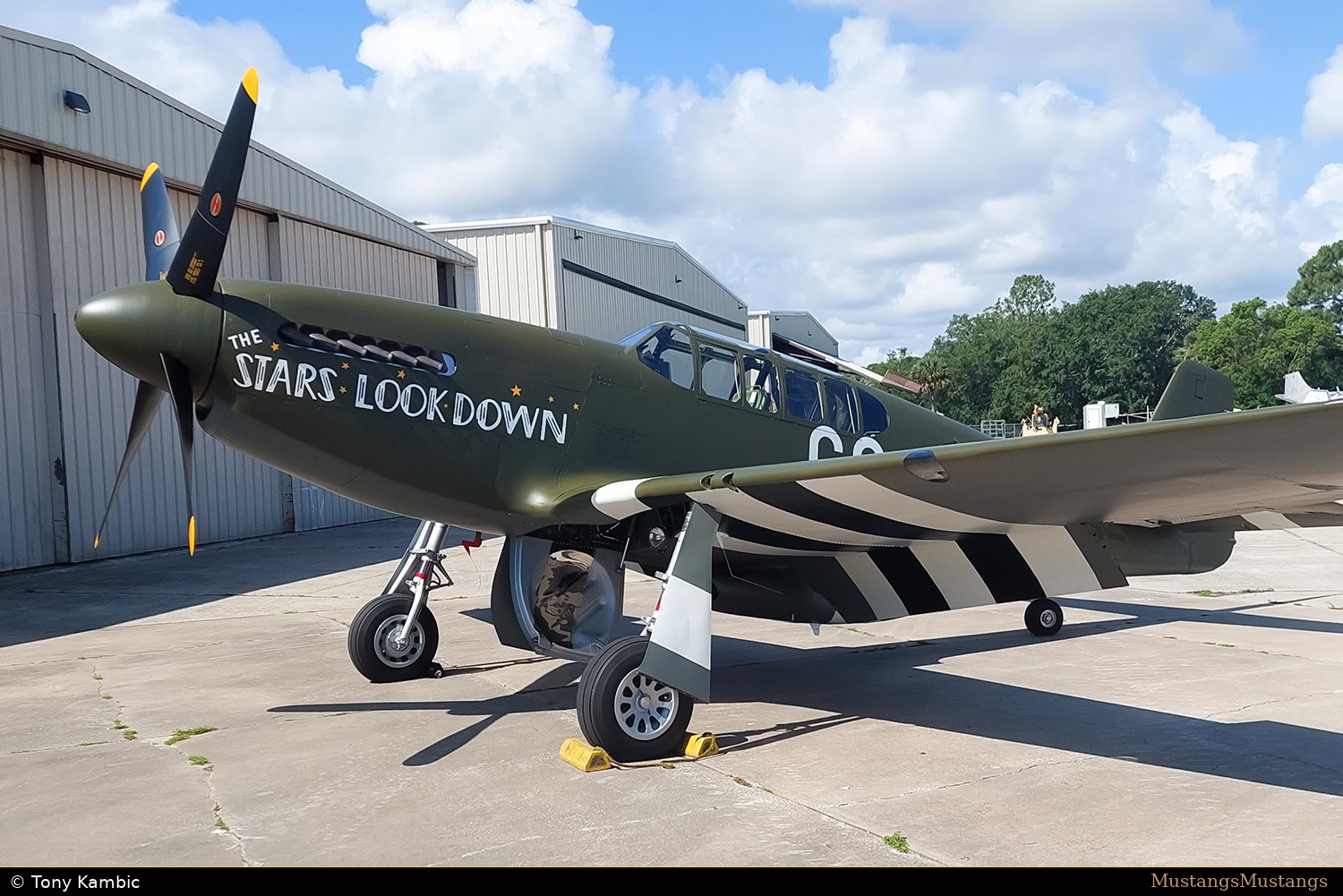42-103293_10533_tk1.jpg