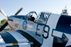 P-51