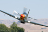P-51
