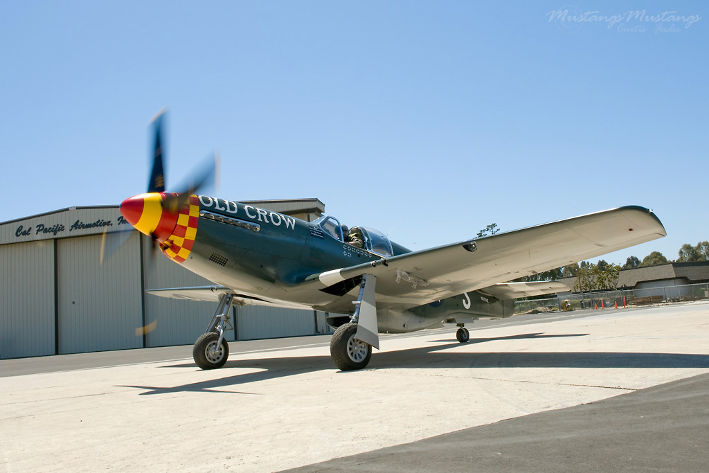 43-12252_00277_cf1.jpg