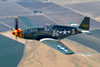 P-51