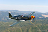 P-51