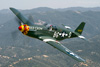P-51