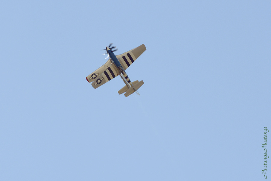 43-25147_00332_cf1.jpg
