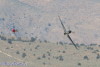 P-51
