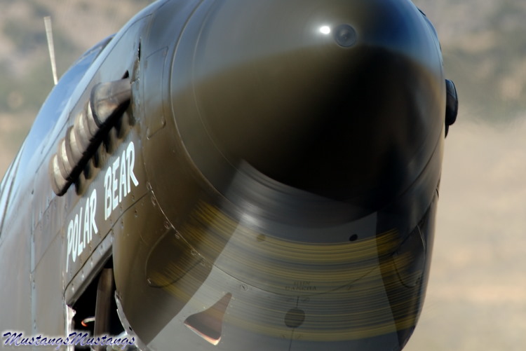 43-6006_00375_cf1.jpg