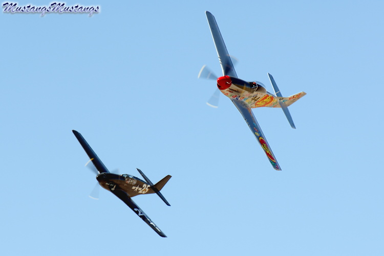 43-6006_00377_cf1.jpg