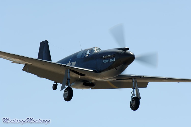 43-6006_00386_cf1.jpg