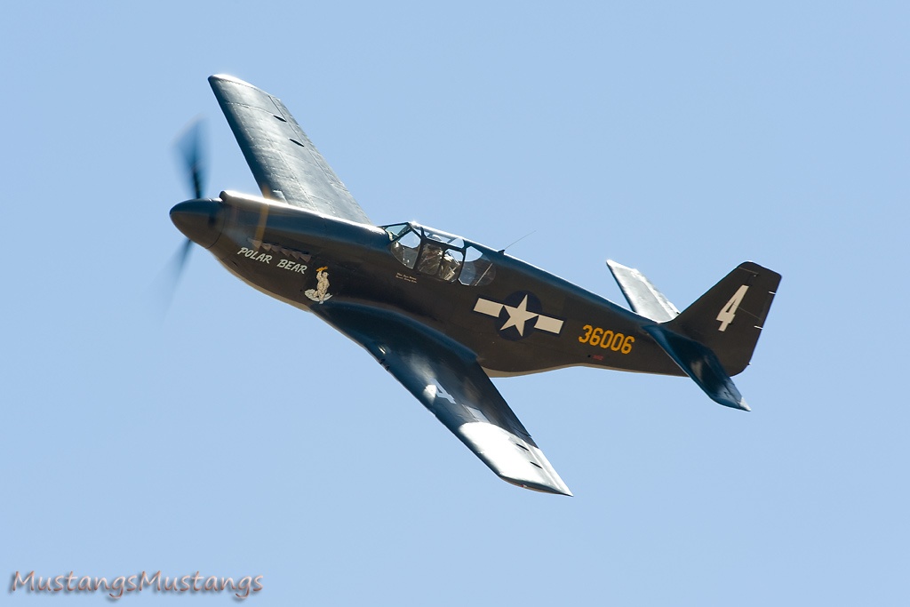 43-6006_7941_cf1.jpg