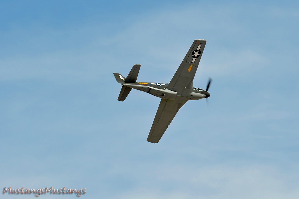 43-6006_7942_cf1.jpg