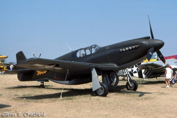 43-6006_8464_gc5.jpg