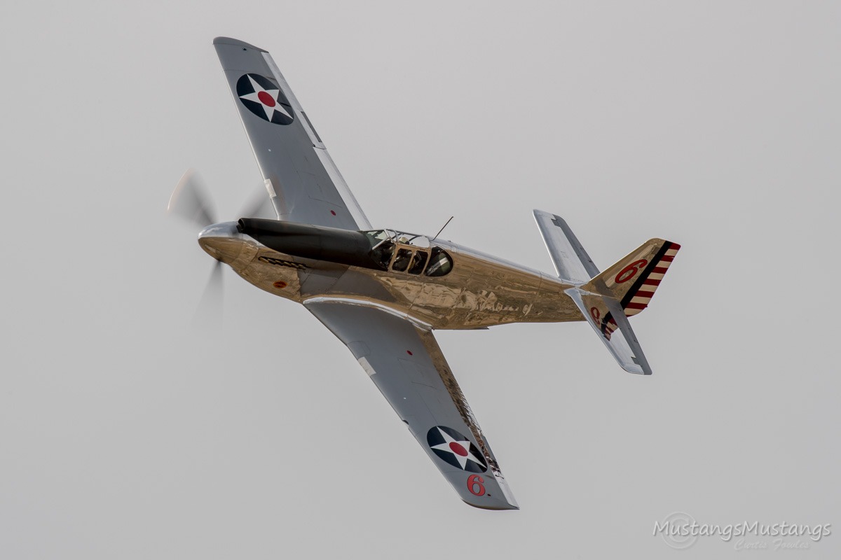 43-6006_9536_cf1.jpg