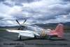 P-51