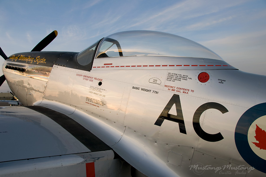 44-63476_00726_cf1.jpg