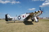 P-51