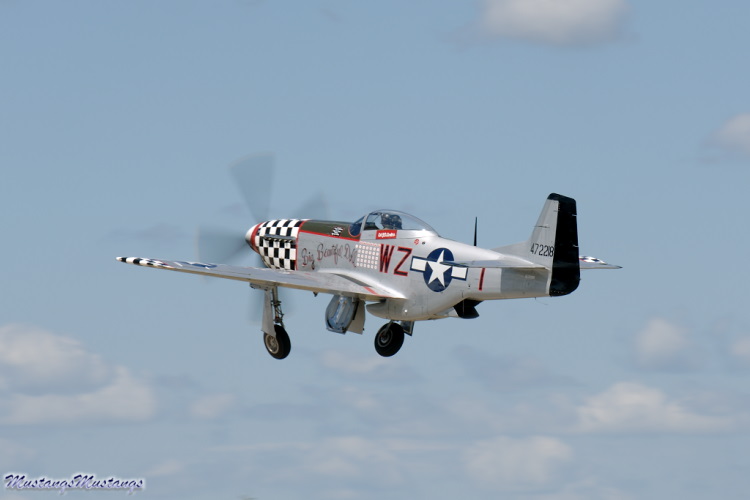 44-63634_00843_cf1.jpg