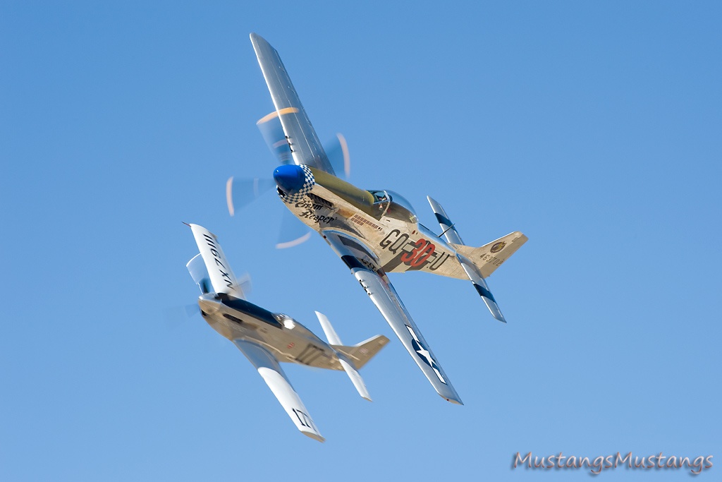 44-63701_7950_cf1.jpg