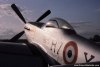 P-51