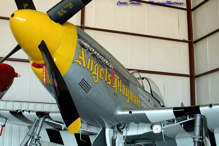 44-63810_01017_cf1.jpg