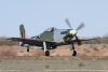 P-51