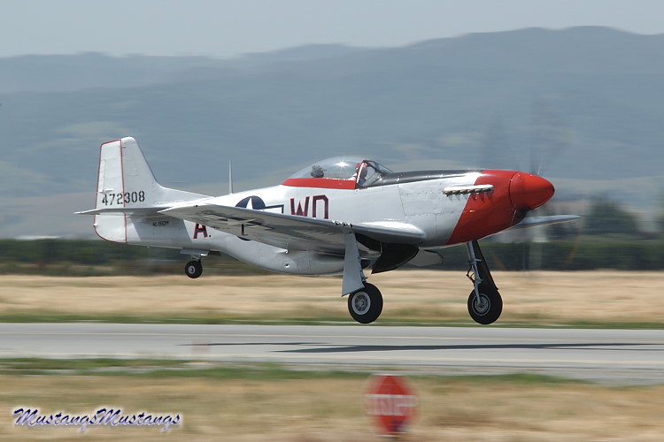 44-72483_01547_cf1.jpg