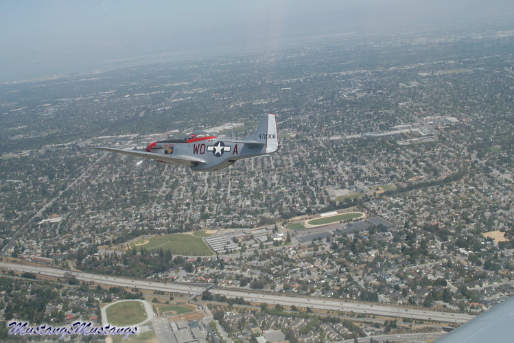 44-72483_01556_cf1.jpg