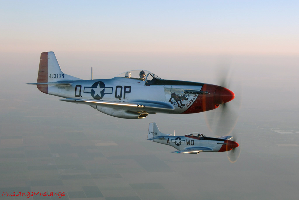 44-72483_01564_cf1.jpg