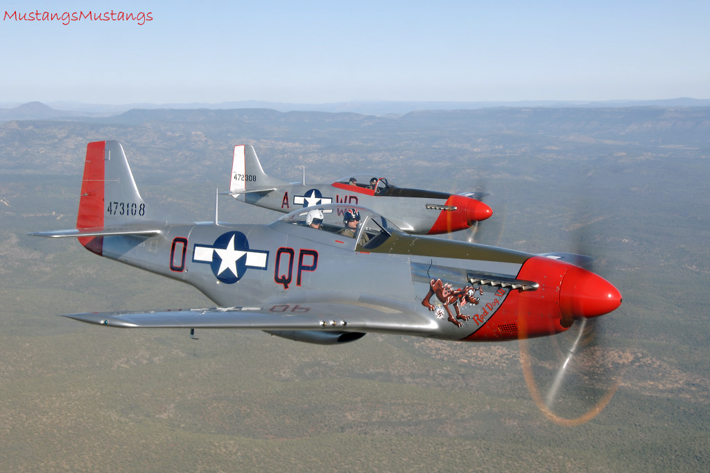 44-72483_01567_cf1.jpg