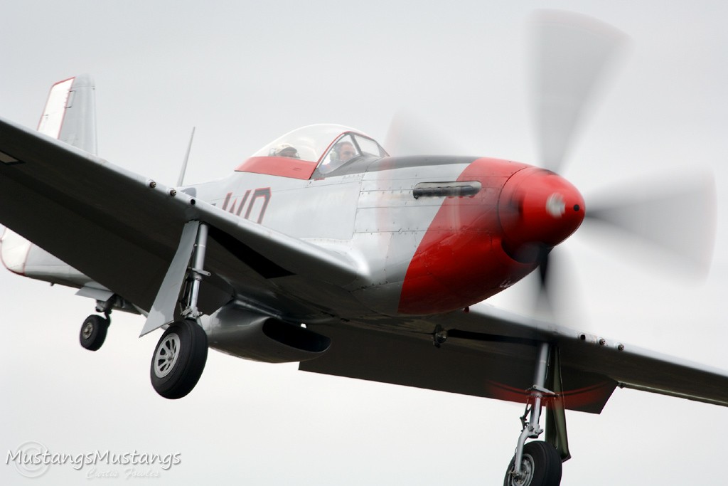 44-72483_8370_cf1.jpg