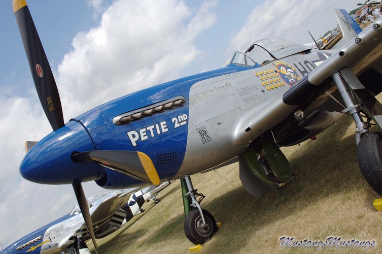 44-72942_01925_cf1.jpg