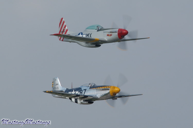 44-73029_01948_cf1.jpg