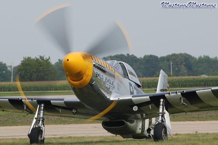 44-73029_01952_cf1.jpg