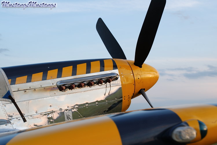 44-73029_01956_cf1.jpg