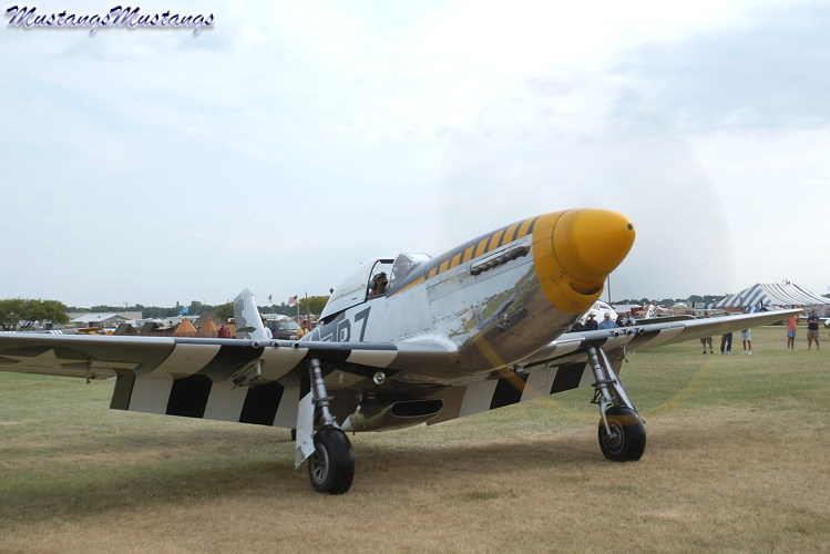 44-73029_01973_cf1.jpg