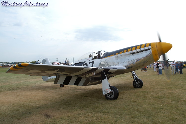 44-73029_01974_cf1.jpg