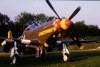 P-51