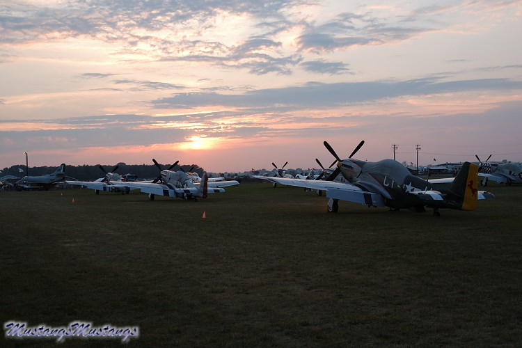 44-73264_02285_cf1.jpg