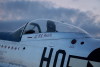 P-51